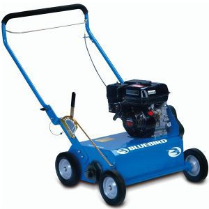 Bluebird Power Rake 600x600 1